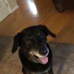 Caleb Guerin - @caleb_guerin_spam - Instagram
