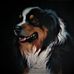 Caleb Gustafson - Facebook