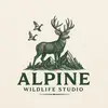 Alpine wildlife studios - @calebhahn - TikTok