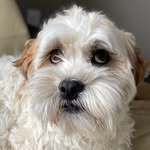 Caleb Hallman - @hallmancaleb - Instagram