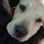 Caleb Hammond - @calebhammond792 - Instagram