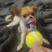 Caleb Hampson - Facebook