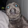 kaleb.hampson - @kaleb.hampson - TikTok