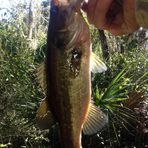 Caleb Hamrick - Facebook