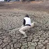 Caleb Harding - @caleb.harding1 - TikTok
