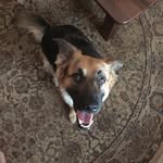 Caleb Harrison - @calebharrison22 - Instagram