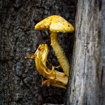 Caleb Hartman - @caleb_hartman_photography - Instagram