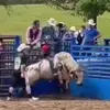 ridebull 2023 - @calebharvey45 - TikTok
