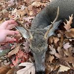 Caleb Hatfield - @caleb.hatfield.758 - Instagram