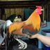 Caleb Hawk - Facebook