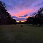 Caleb Healy - @calebhealy11 - Instagram