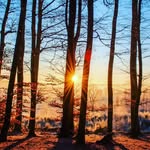caleb hearn - @cbhearn631 - Instagram