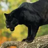 Caleb Heath - @caleb.heath4 - TikTok