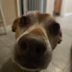 Kaleb Heckman - Facebook