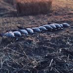 Caleb Heim - Facebook