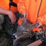 caleb helms 14 - @he.caleb - Instagram