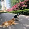 Caleb  Henderson - @caleb.henderson5 - TikTok