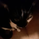 Caleb Henderson - @caleb_henderson___ - Instagram