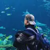 Caleb Henderson - @caleb.henderson03 - TikTok