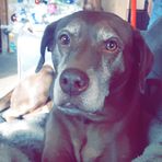 Caleb Hendricks - Facebook