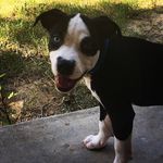 Caleb Hensley - @chensley_7 - Instagram