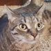 Kaleb Herman - Facebook