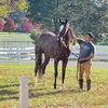 Caleb Hernandez - @caleb.hernandez920 - TikTok