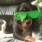 Caleb Herrin - @herrinbtw - Instagram