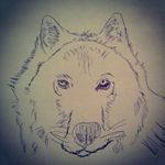 Caleb herring - @herringcaleb14 - Instagram
