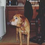Caleb Herron - @thedopeaskwhitekid - Instagram