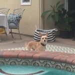 Caleb Hilton - @calebhilton3 - Instagram