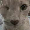 cunc - @caleb.hinds - TikTok
