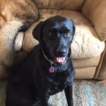 Caleb Hinkle - @chinkle1115 - Instagram