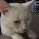 Caleb Hinton - @rhaephee - Instagram