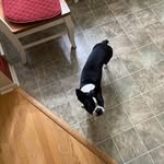 Caleb Hoekstra - @caleb.hoekstra.39 - Instagram