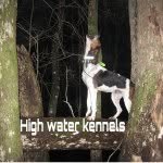 Caleb Holden - @high_water_kennels - Instagram