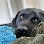 Caleb Holder - Facebook