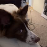 Caleb Holley - @calebholley1 - Instagram