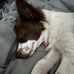 Caleb Holley - Facebook