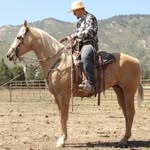 Caleb Holley - @wadenspade98 - Instagram