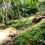 Caleb Holmes - @caleb.holmes.716 - Instagram
