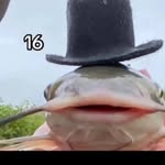 Caleb Holman - @caleb.holman.923 - Instagram