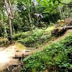 Caleb Holmes - @caleb.holmes.716 - Instagram