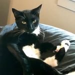 Caleb Holt - @caleb.holt.94695 - Instagram