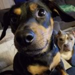 Caleb Holtz - @holtz8514 - Instagram
