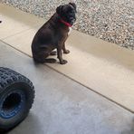 Caleb Hooper - Facebook