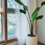 @caleb_h_shopping - Instagram