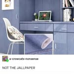 @calebshoppingaccount - Instagram