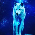 caleb horn - @calebhorn59 - Instagram