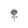 Caleb_Houk21 - @calebhouk21 - TikTok